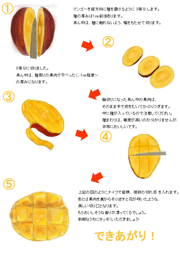 マンゴーの食べ方・切り方