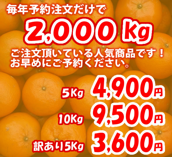 奄美タンカン　10kg　(秀品)
